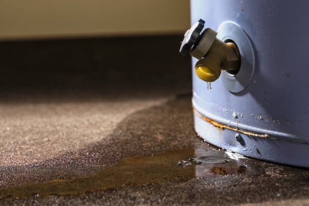 Best 24-hour water damage restoration  in Catawissa, PA