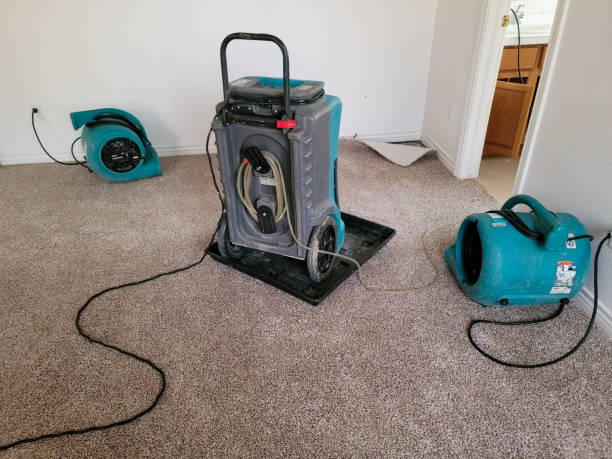 Best Sewage cleanup and water damage restoration  in Catawissa, PA