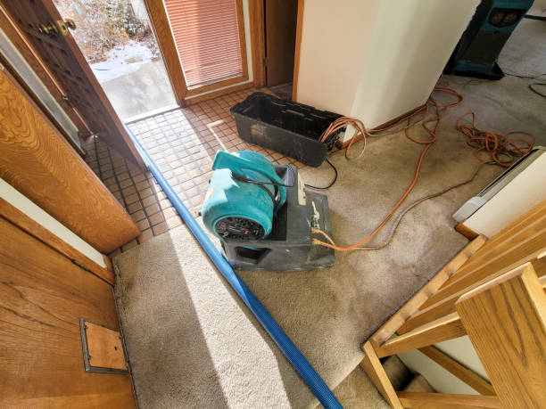 Best Mold removal after water damage  in Catawissa, PA