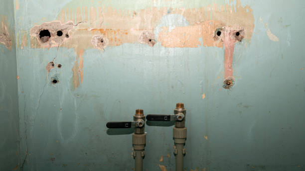 Best Water damage restoration near me  in Catawissa, PA