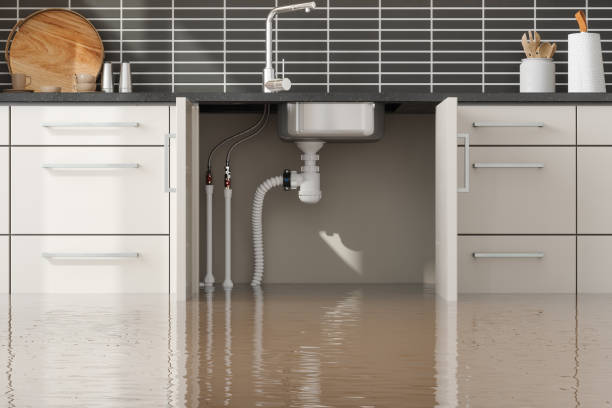 Best Emergency water damage restoration  in Catawissa, PA